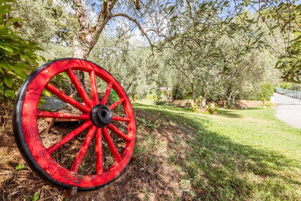 Al Giardino Degli Ulivi ξενώνας Santa Maria Albiano Εξωτερικό φωτογραφία