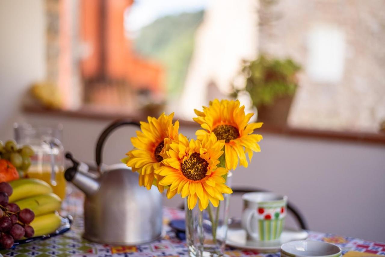 Al Giardino Degli Ulivi ξενώνας Santa Maria Albiano Εξωτερικό φωτογραφία