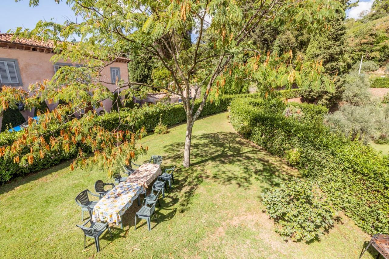 Al Giardino Degli Ulivi ξενώνας Santa Maria Albiano Εξωτερικό φωτογραφία